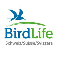 BirdLife Schweiz(@SVS_BirdLife) 's Twitter Profile Photo