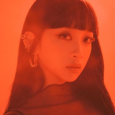 Kurn1a11's profile picture. Everythings about SECRET NUMBER n SEVENTEEN