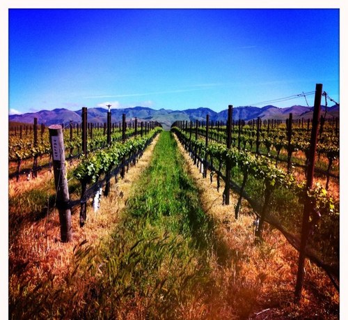 TchrCamp's profile picture. 