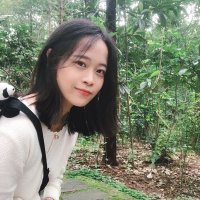 陈文琴(@Fionawenqin) 's Twitter Profile Photo