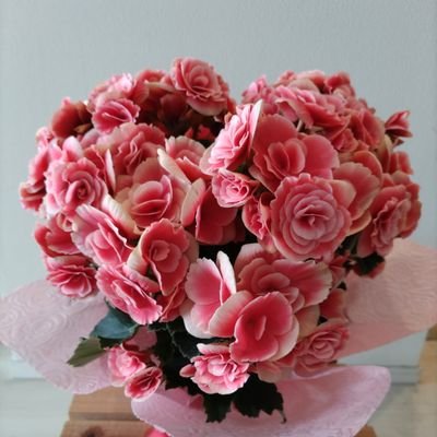 yuyuyu_fuwafuwa's profile picture. ほぼ読書垢📖｜感想をボソボソと｜ネタバレあり｜ｱﾗﾌｨﾌ♀｜今日も平凡な一日に感謝。一日一新🌻🌈🌈｜愛犬の本気を待つ日々｜いいね👍コメントありがとうございます☺️