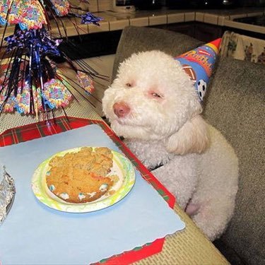 SuphanaiPhikun1's profile picture. ig : ffolll_k