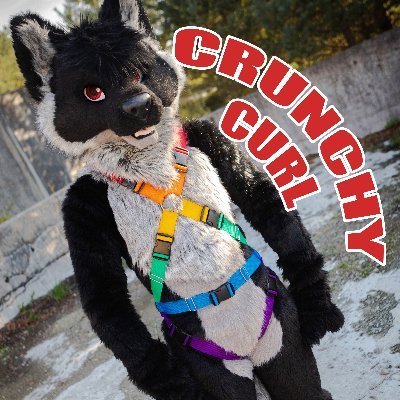 Create your own custom designed harness and order it with just a few clicks! Check out our website: