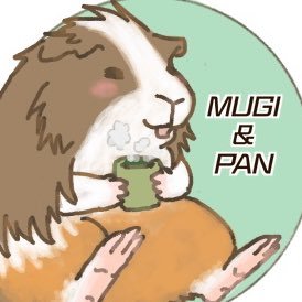 【モルモット】Mugi＆Ruki【四国犬】さんのプロフィール画像