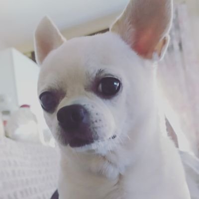 Angy98156373's profile picture. 