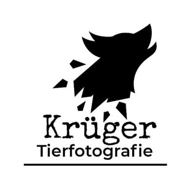 Ich bin Tierfotograf, 26 Jahre alt und komme aus Niedersachsen.

Bei mir steht das Tier im Fokus!
Daher ist jedes Shooting individuell an Dein Tier angepasst.