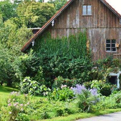 The Secret Garden 🏡🌱
Raise plants with love 🌿🌳