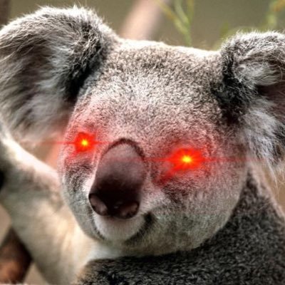 abitt_17's profile picture. 