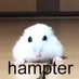 hampter (@wooowack) Twitter profile photo hampter (@wooowack) Twitter profile photo
