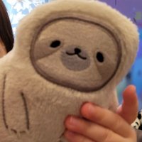 みぃすけ👧3y+🐣0y (@poppet404) 's Twitter Profile