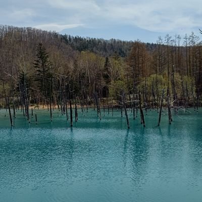 北海道大好き　富良野  美瑛  癒される風景/写真  癒される孫の写真を楽しく加工してインスタにあげています。インスタもよろしくお願いします！