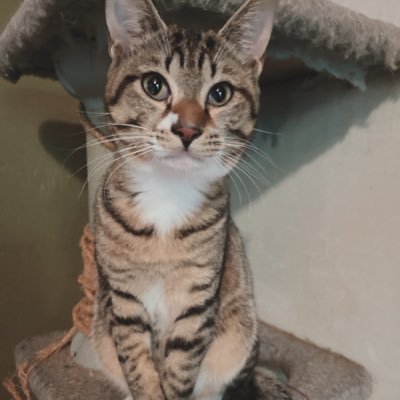 Bz600969281's profile picture. B’z垢作りました。関西在住女。推し歴30年少し。ぜひとも仲良くしてください♡無言フォローすみません。