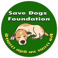 Save Dogs Foundation India(@sdfoundationin) 's Twitter Profile Photo