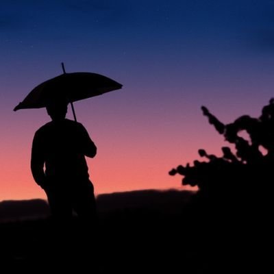 Khushbo79700958's profile picture. 