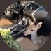 عزوف🦌 (@naanoosh12) Twitter profile photo عزوف🦌 (@naanoosh12) Twitter profile photo