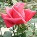 pradeep bodumalla (@pbodumalla) Twitter profile photo pradeep bodumalla (@pbodumalla) Twitter profile photo