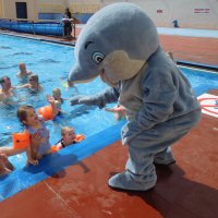 Friends of Stonehaven Open Air Pool(@FofSOAP) 's Twitter Profileg
