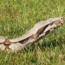 marty lynch - @BOABUDDY123 - Twitter