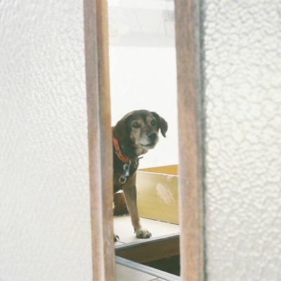 shiki9082's profile picture. 急性期MSW🪽8年目。ほぼ愚痴