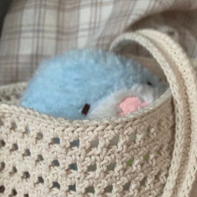 빈칸さんのプロフィール画像