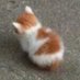 sleepy-chan~ (@sleepysinclair) Twitter profile photo sleepy-chan~ (@sleepysinclair) Twitter profile photo