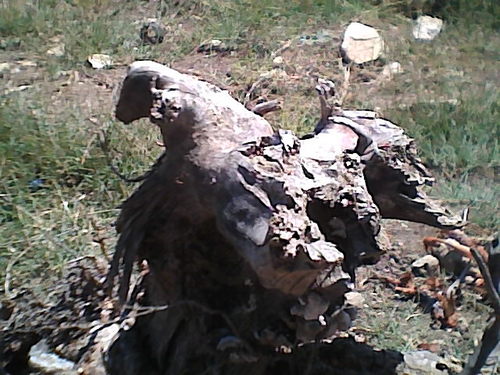 abooboztas's profile picture. 