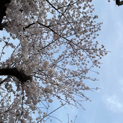 は
