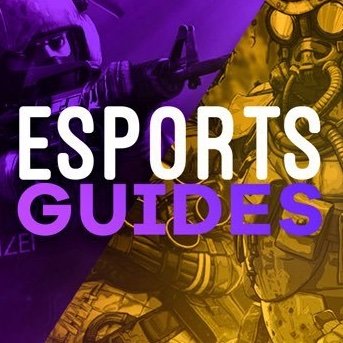 esportsguides-seさんのプロフィール画像