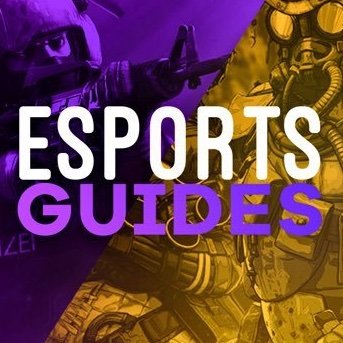 Esports Guides SE - Leading Esports Coaching