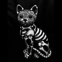 Julio Cesar Morales (@gonzito_yo) 's Twitter Profile