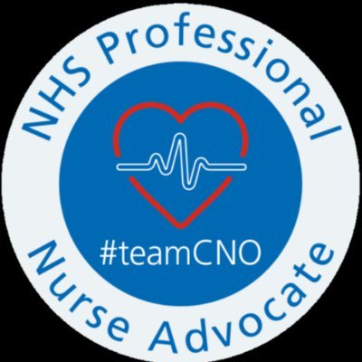 Project lead, Clinical Supervision, Lead Professional Nurse Advocate, Critical Care Nurse, tea drinker. #kindnessmatters