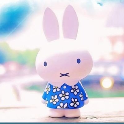 miffy photographer/SaseboMiffy also has Instagram, and tumblr（・ｘ・）