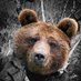 Майлoлoвич🇷🇺🐻 Profile picture