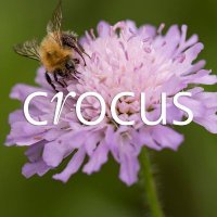 Crocus.co.uk(@crocusCoUk) 's Twitter Profileg