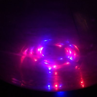 guibot's profile picture. Designer Multidisciplinar . Maker de muitas coisas