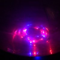 Guilherme Martins (@guibot) 's Twitter Profile