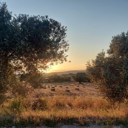 aylinkor365's profile picture. 🌟🎈🧸🎶