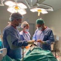 Cirugía General Quiron Salud Torrevieja (@cirugiaqst) 's Twitter Profile Photo