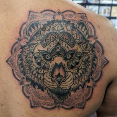 Shahsburner's profile picture. My burner account