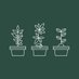 Little Collins CBD Dispensary (@little_cbd) Twitter profile photo Little Collins CBD Dispensary (@little_cbd) Twitter profile photo