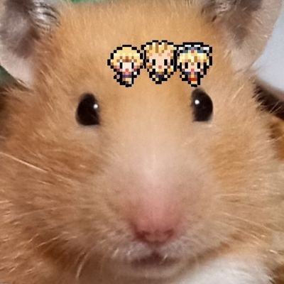 🎃ゑなが🦇さんのプロフィール画像