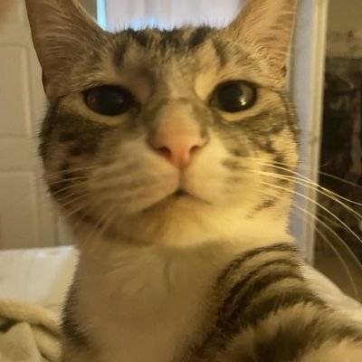 r_j7827's profile picture. ....
.....
....

..

To Infinity and Beyond!