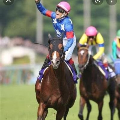 競馬垢です🐴競馬垢のみフォロー願います🙇それ以外はフォローしません🫡

相互フォロー出来る方のみフォローします🙇公式垢はフォローしません🫡

競馬を愛する皆様とコミュニケーションを取ることがこの垢の目的です。

宜しくお願いします👍あ、あとマスク(トップ)画、嫌いなのでブロックしてます。ご了承下さい。