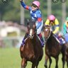 kazuf0611's profile picture. 競馬垢です🐴競馬垢のみフォロー願います🙇それ以外はフォローしません🫡

相互フォロー出来る方のみフォローします🙇公式垢はフォローしません🫡

競馬を愛する皆様とコミュニケーションを取ることがこの垢の目的です。

宜しくお願いします👍あ、あとマスク(トップ)画、嫌いなのでブロックしてます。ご了承下さい。