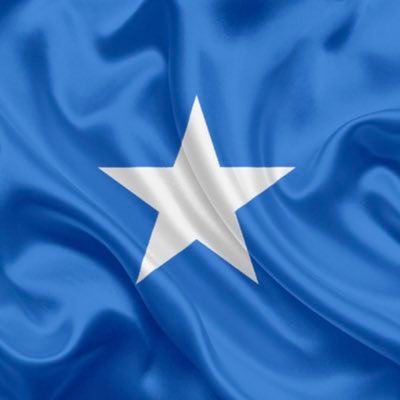 Estandartes azules arriba y adelante con paso triunfal 🇸🇴Los azules marchamos avente sin ceder en la lucha jamás 🇸🇴🇸🇴🇸🇴