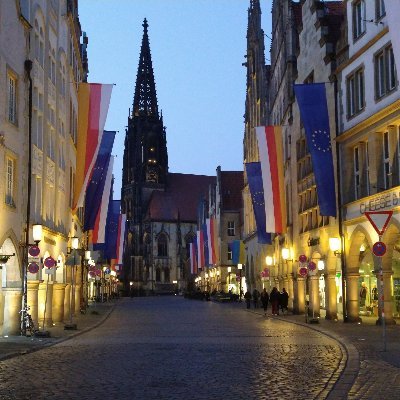 Auch mal hinter die Fassade blicken. Referent Volt Ratsgruppe Münster. Gerne mit Lila Brille, aber hier immer rein privat.