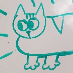 spacecodeq's profile picture.
