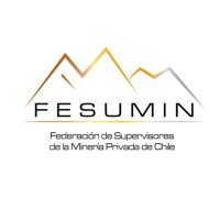 FESUMIN(@FESUMINchile) 's Twitter Profile Photo