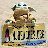njbeaches.org(@NJBeachReport) 's Twitter Profile Photo