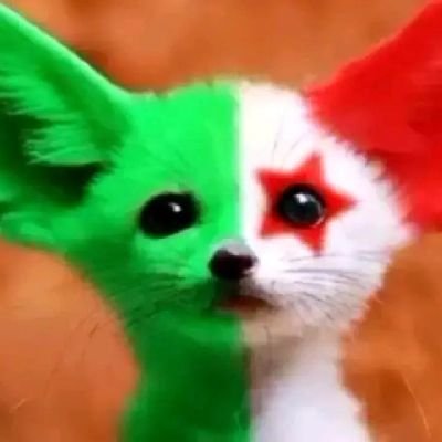 amigo09blida's profile picture. 